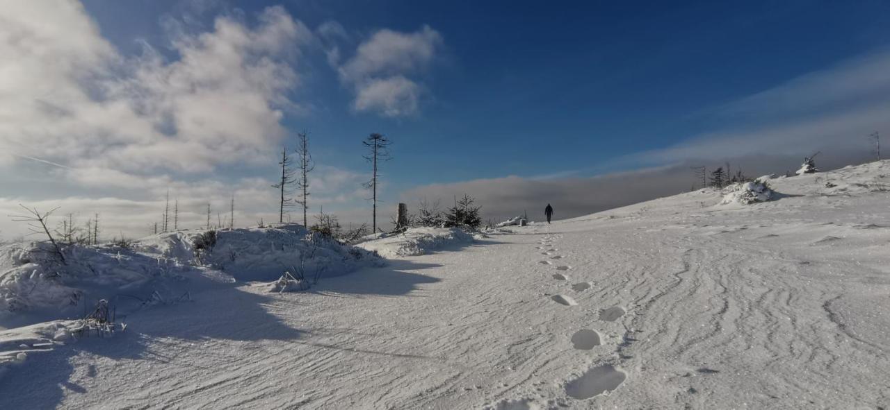 Penzion Rzehaczek Dolní Lomná Esterno foto