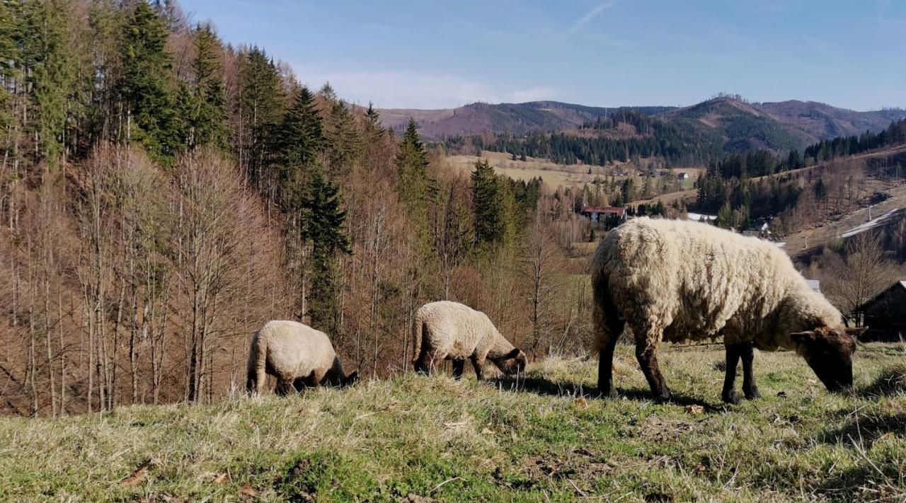 Penzion Rzehaczek Dolní Lomná Esterno foto