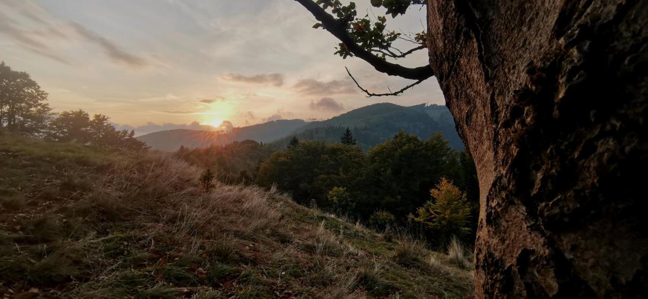 Penzion Rzehaczek Dolní Lomná Esterno foto