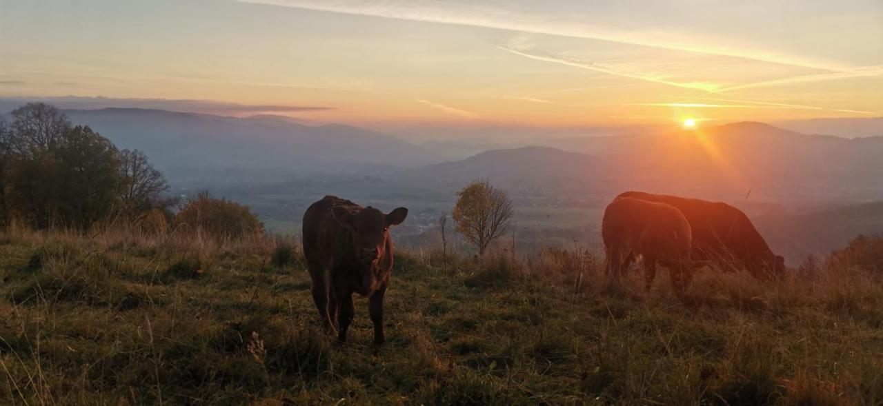 Penzion Rzehaczek Dolní Lomná Esterno foto