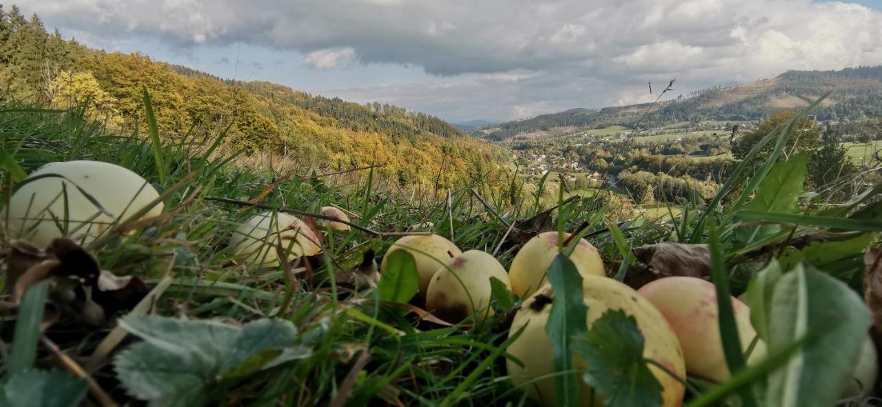 Penzion Rzehaczek Dolní Lomná Esterno foto