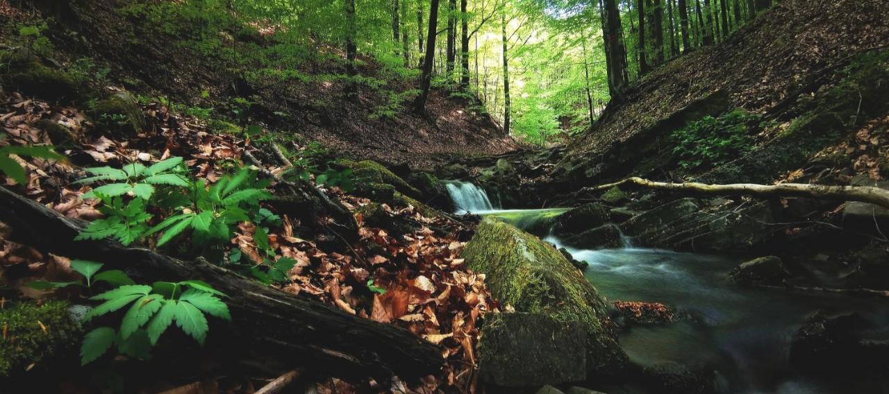 Penzion Rzehaczek Dolní Lomná Esterno foto