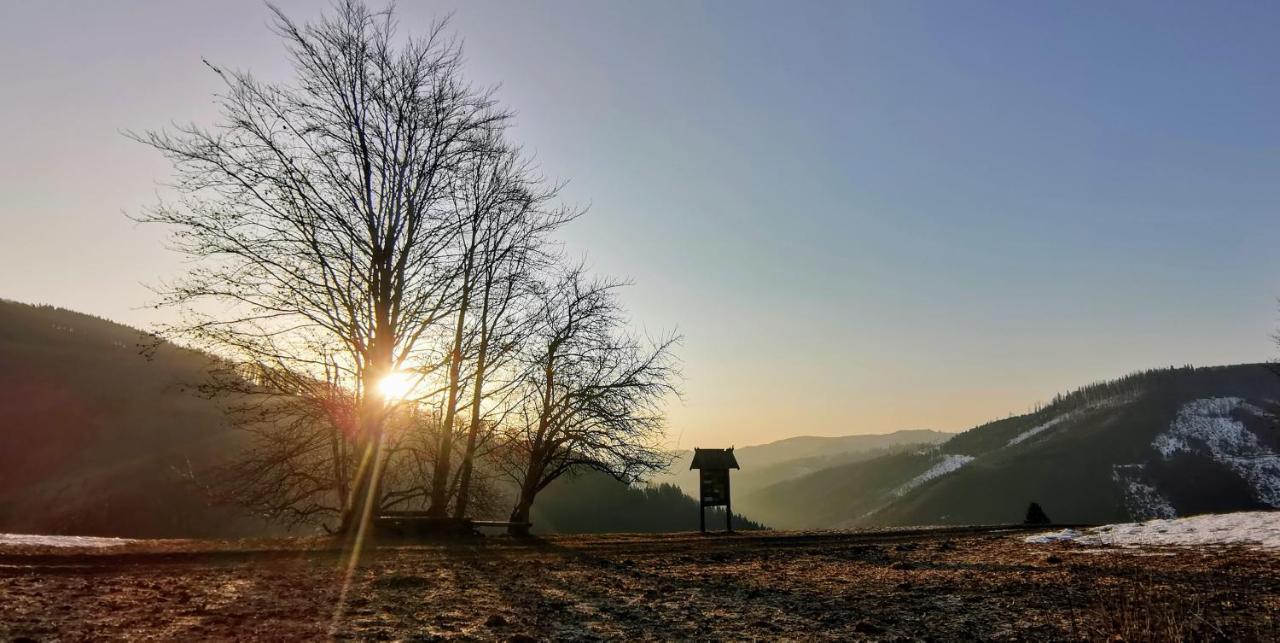Penzion Rzehaczek Dolní Lomná Esterno foto