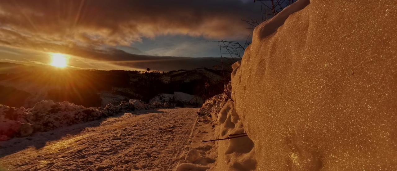 Penzion Rzehaczek Dolní Lomná Esterno foto