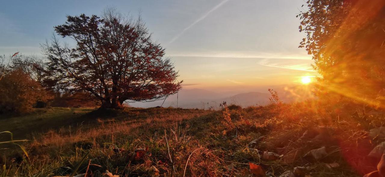 Penzion Rzehaczek Dolní Lomná Esterno foto
