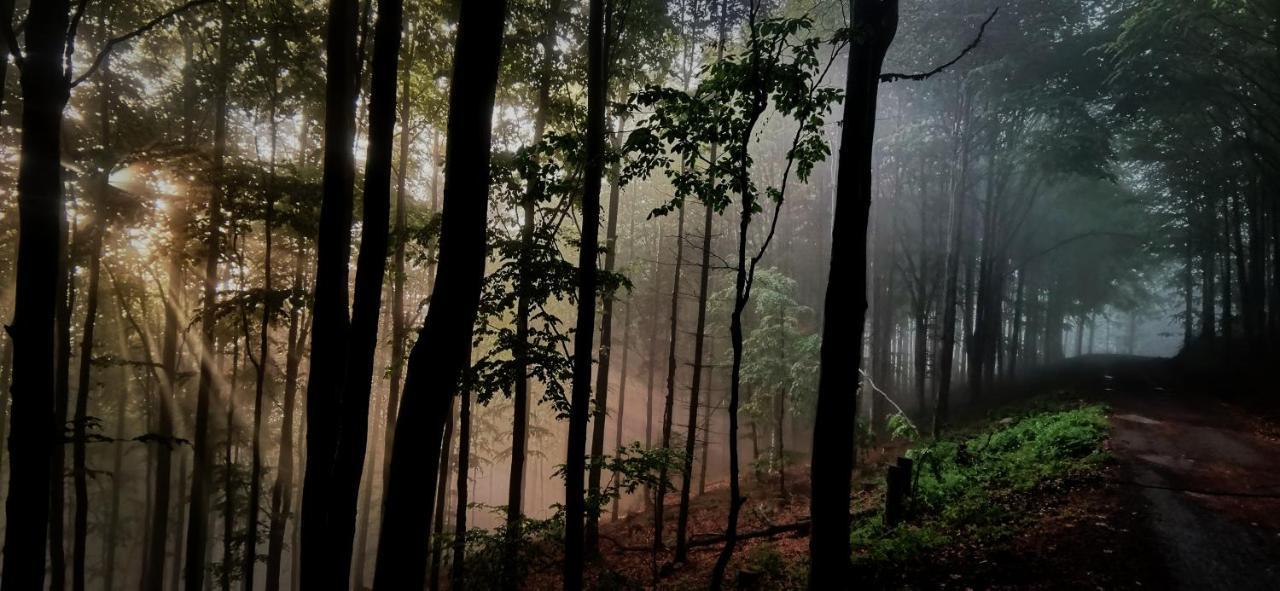 Penzion Rzehaczek Dolní Lomná Esterno foto