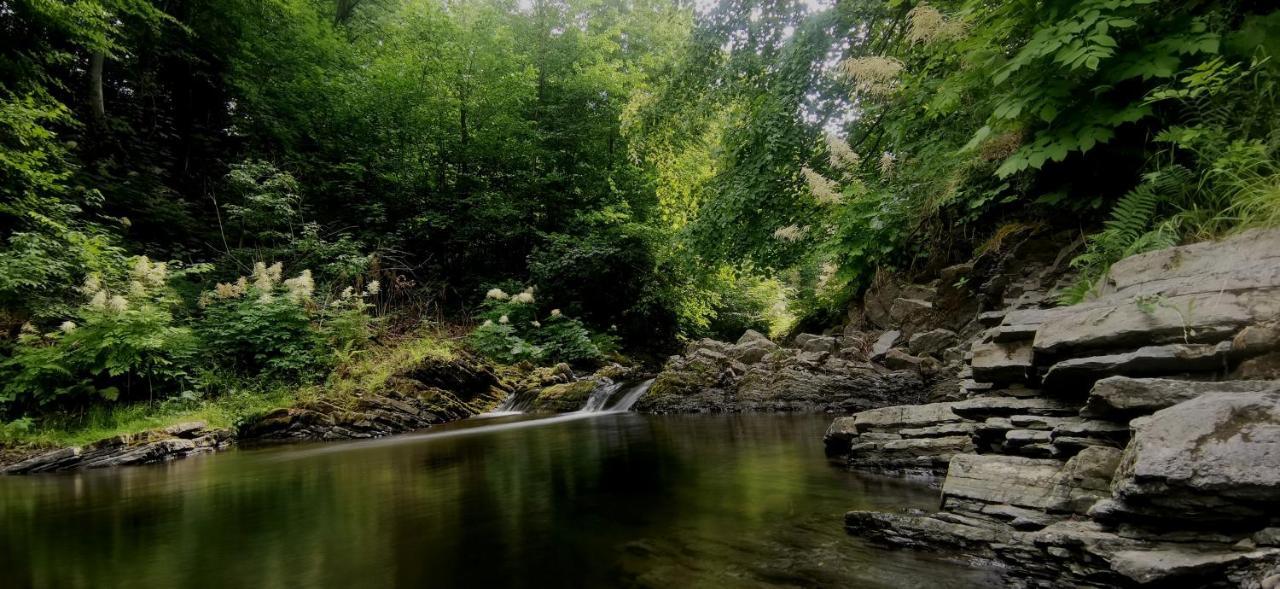 Penzion Rzehaczek Dolní Lomná Esterno foto