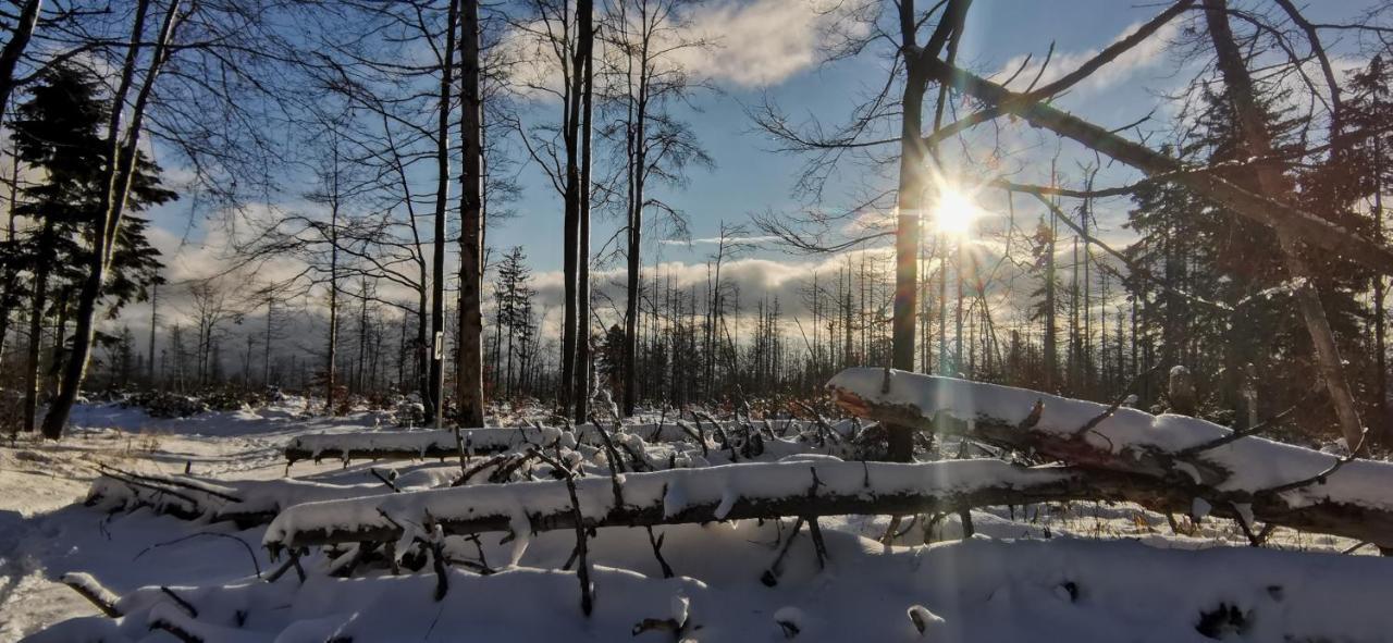 Penzion Rzehaczek Dolní Lomná Esterno foto