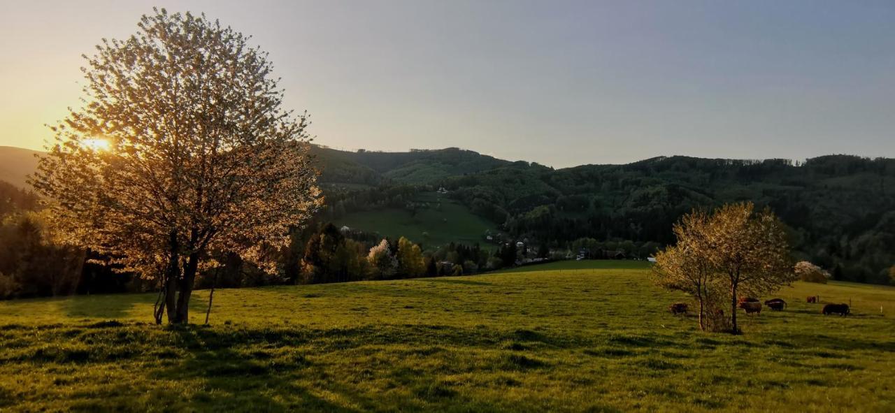 Penzion Rzehaczek Dolní Lomná Esterno foto