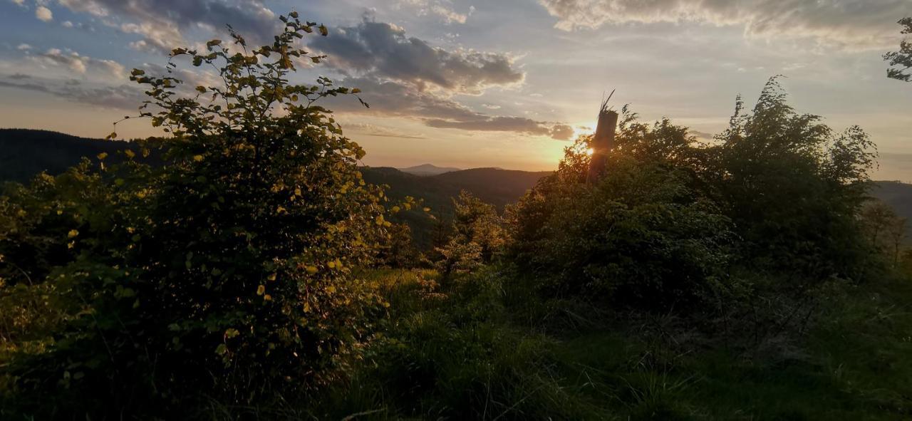 Penzion Rzehaczek Dolní Lomná Esterno foto