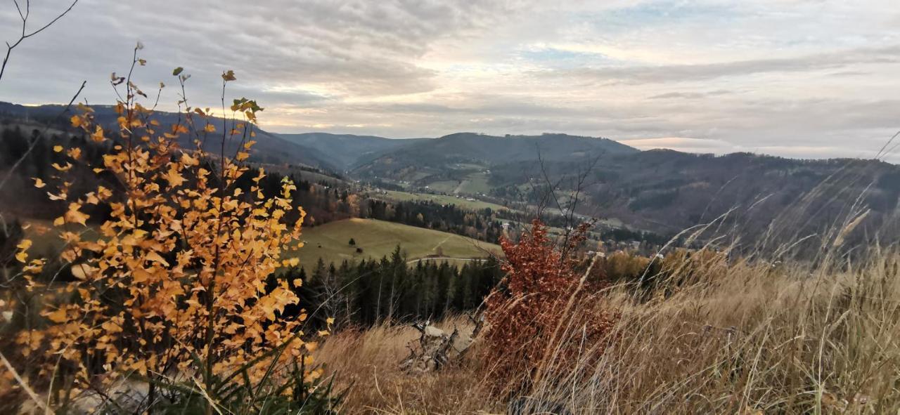 Penzion Rzehaczek Dolní Lomná Esterno foto