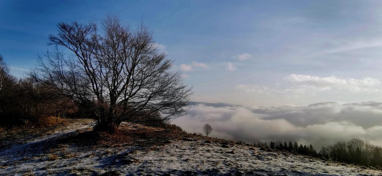 Penzion Rzehaczek Dolní Lomná Esterno foto