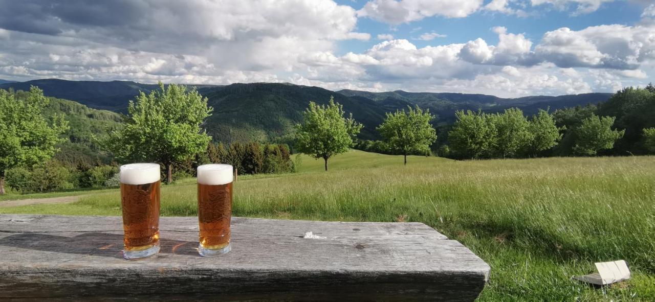 Penzion Rzehaczek Dolní Lomná Esterno foto
