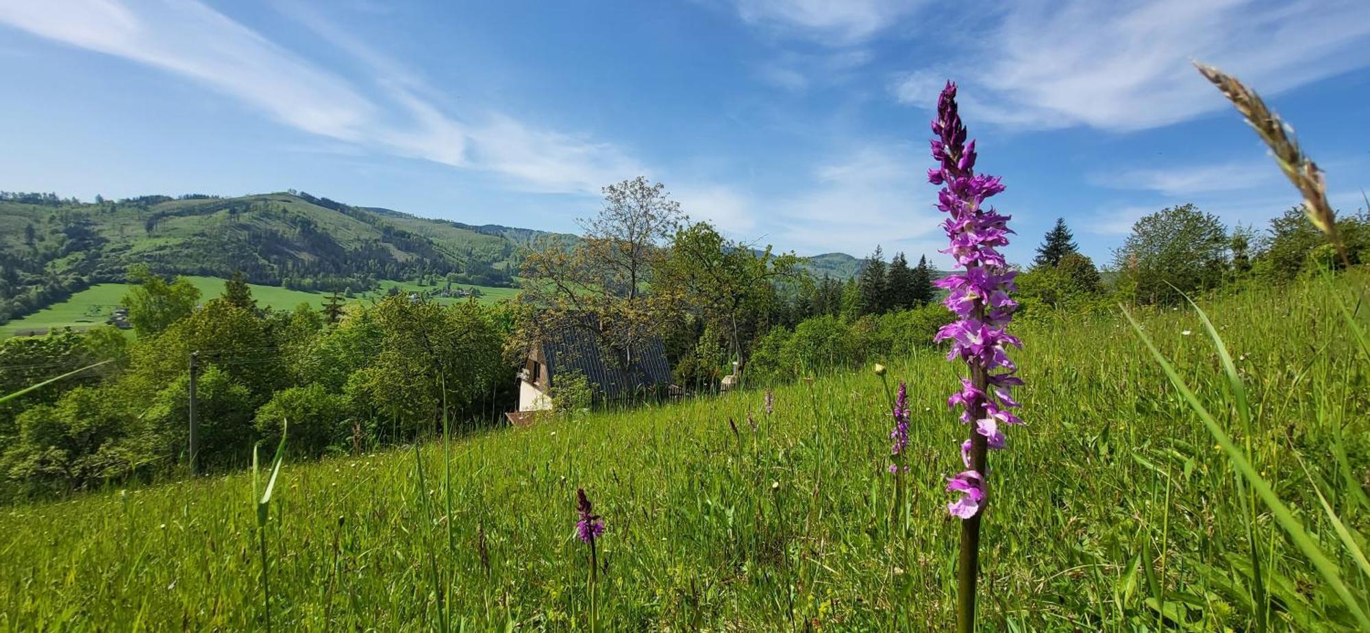 Penzion Rzehaczek Dolní Lomná Esterno foto